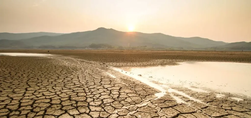 showing the image of impact of climate change