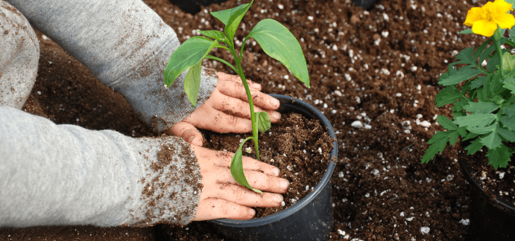 showing the image of benefits of gardening