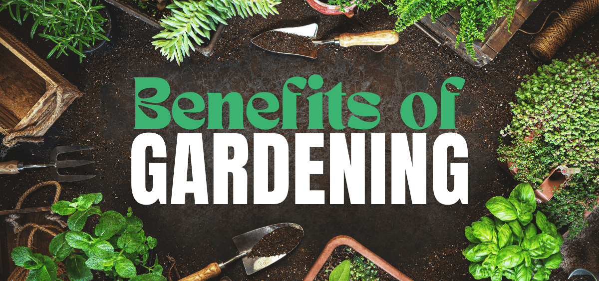 showing the image of benefits of gardening