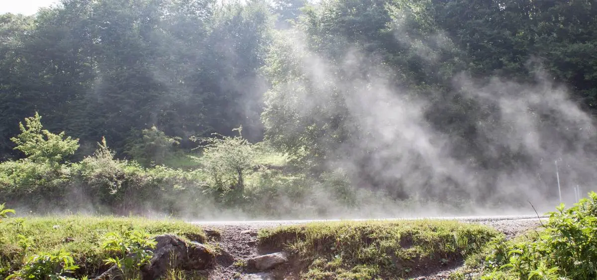 showing the image of evapotranspiration