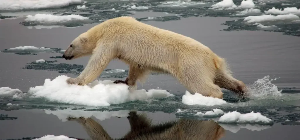 showing the image of global warming