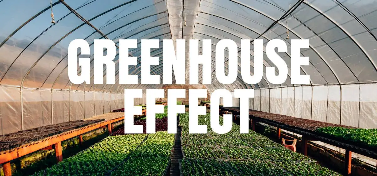 showing the image of greenhouse effect