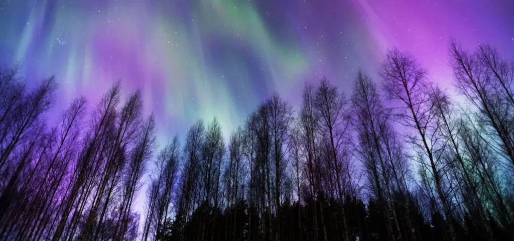 showing the image of aurora