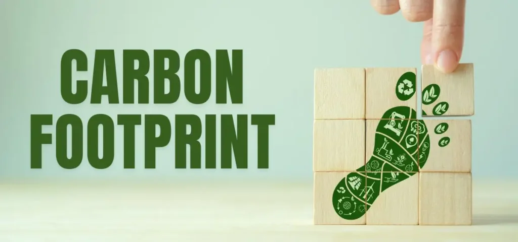 showing the image of carbon footprint