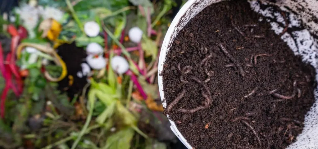 showing the image of composting