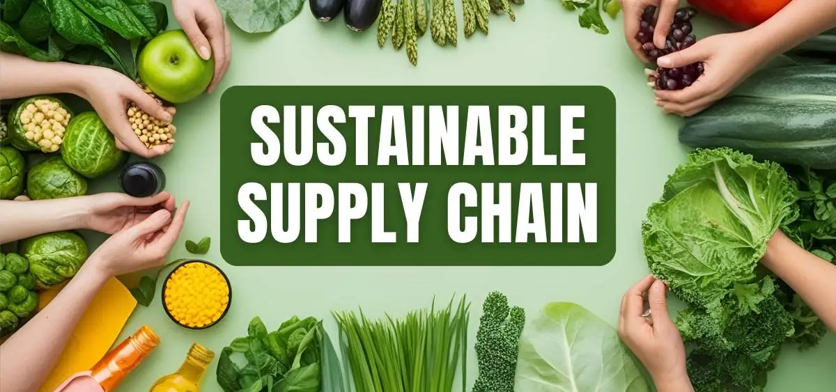 showing the image of sustainable supply chain