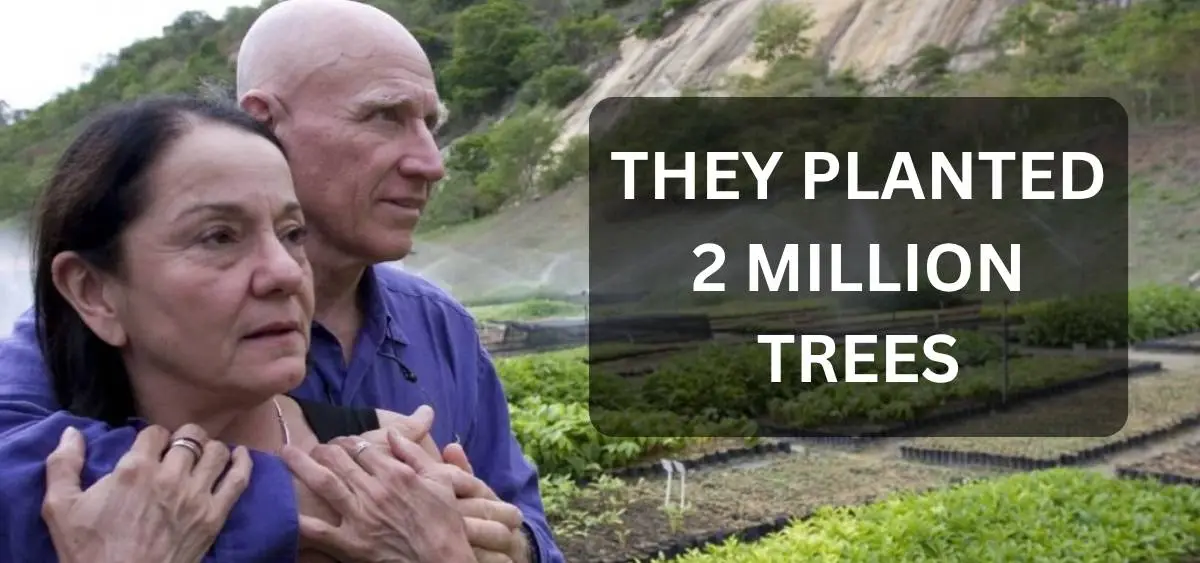 showing the image of brazilian couple forest restoration success story