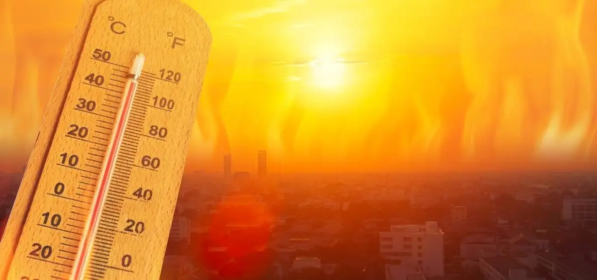 showing the image of wmo reports 2025