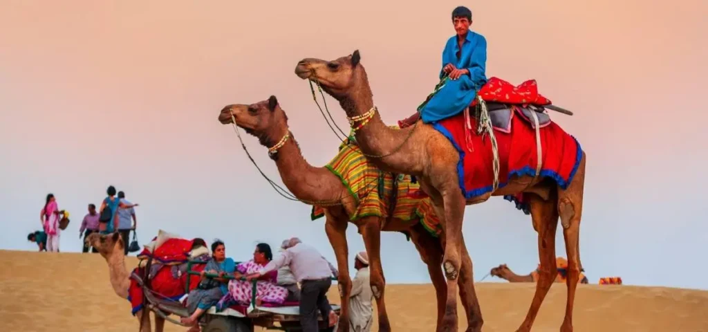 showing the image of world camel day 22 june