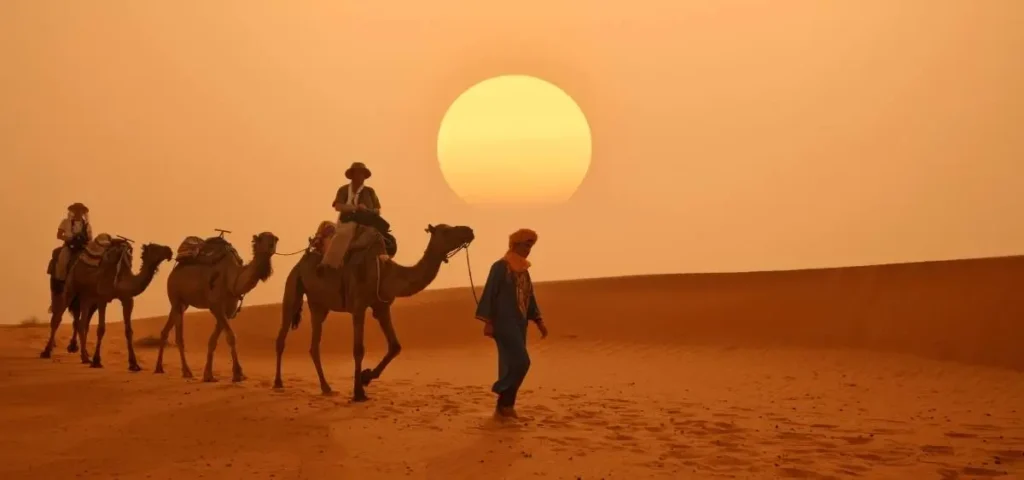showing the image of world camel day 22 june