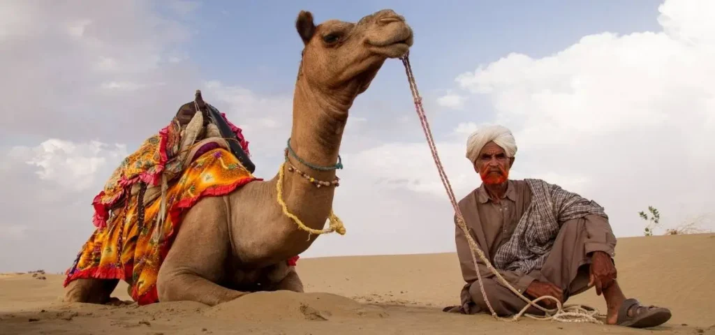 showing the image of world camel day 22 june