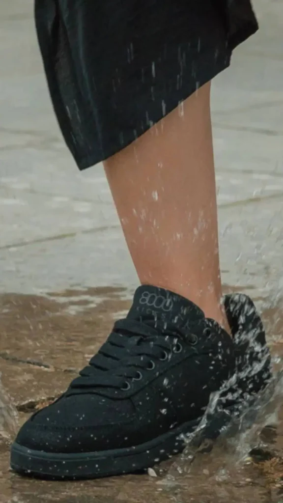 showing the image of Best Sustainable Fashion Brands