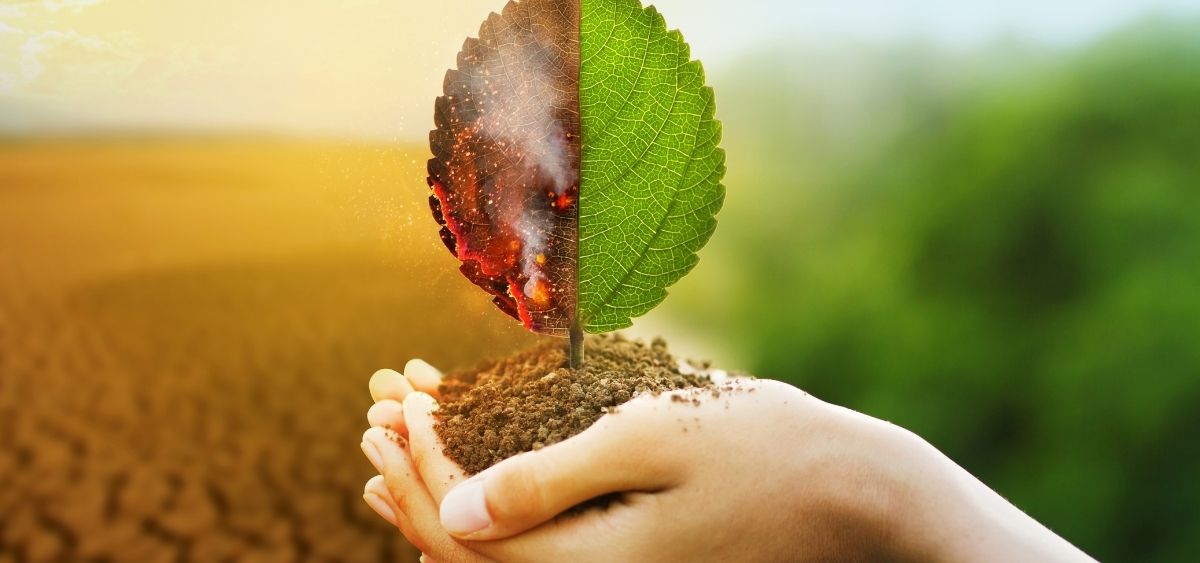 climate change resilience