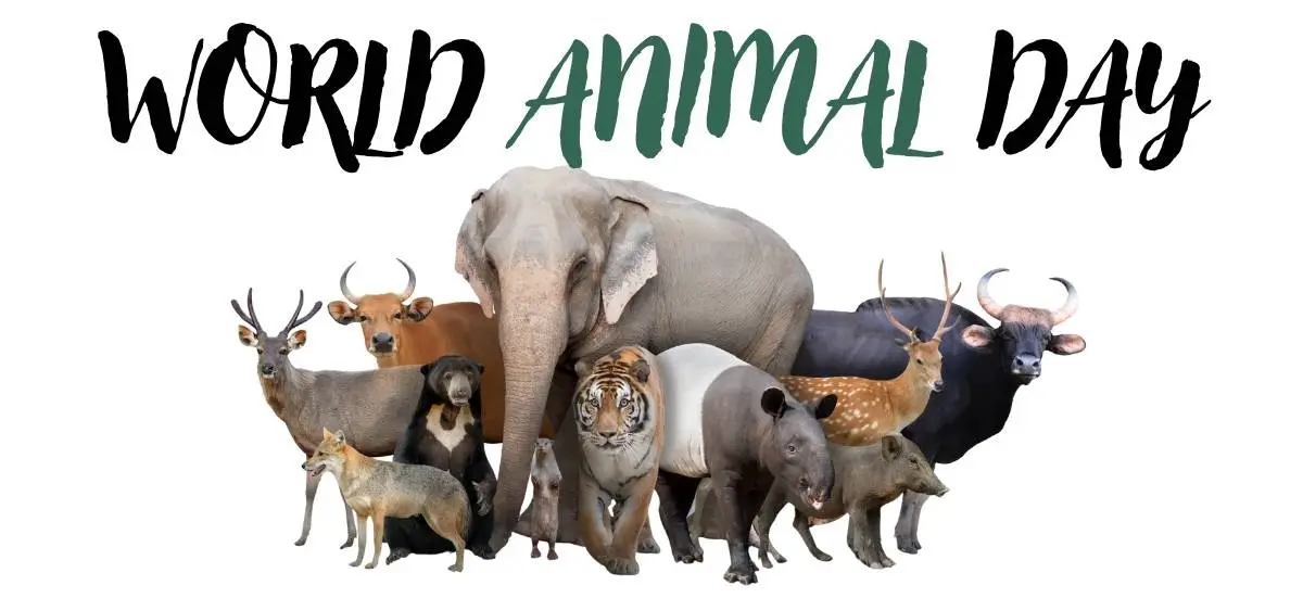 Showing the image of world animal day 4 october