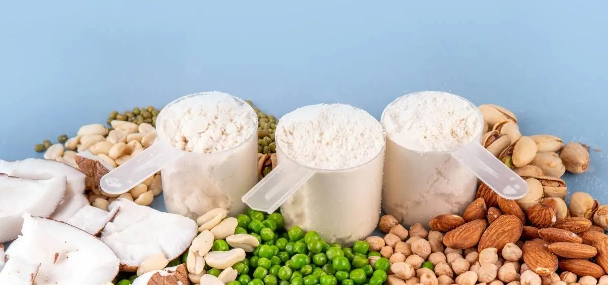 Showing the image of World Vegan Day 2025 1-november