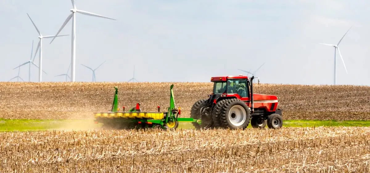 Showing the image of Regenerative Rice