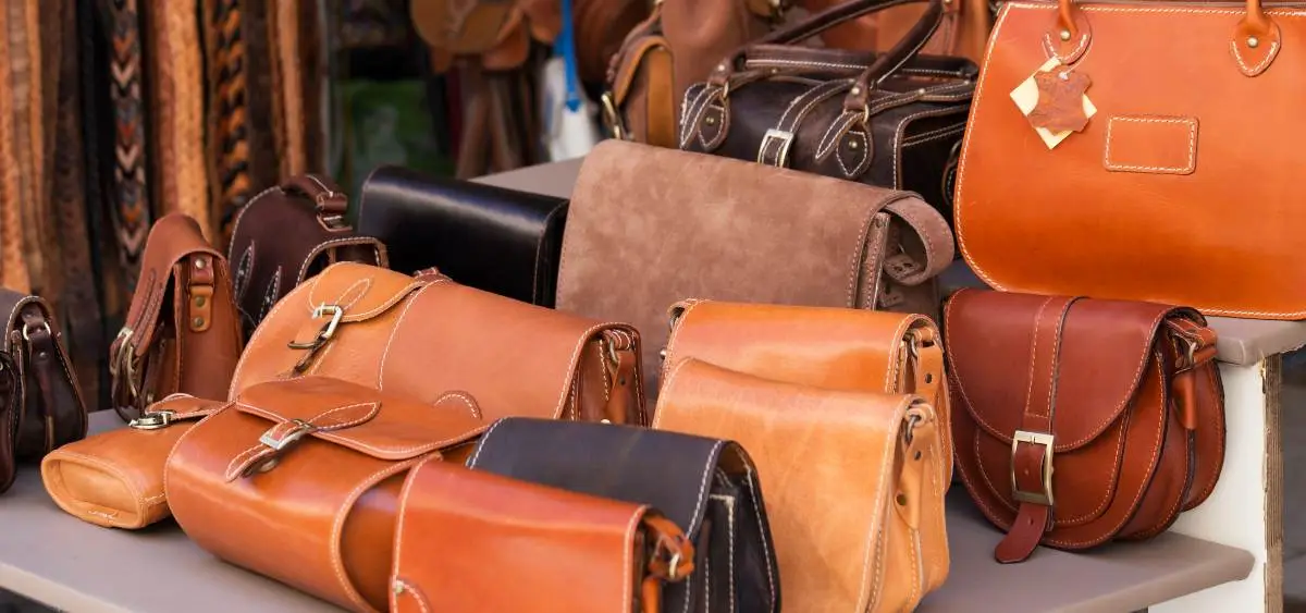 Showing the What Is Bioleather