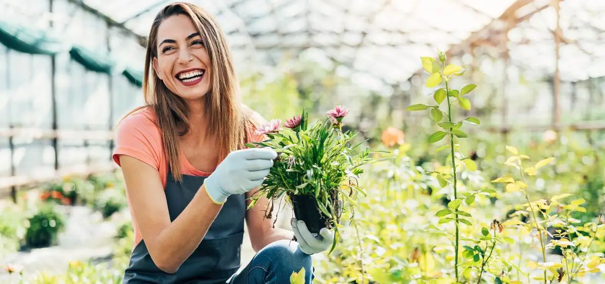 Showing the image of What to do in garden in April