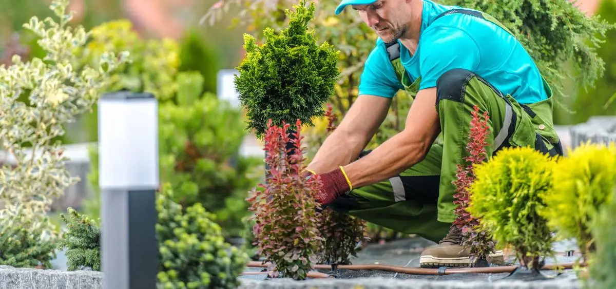Showing the image of What to do in garden in march