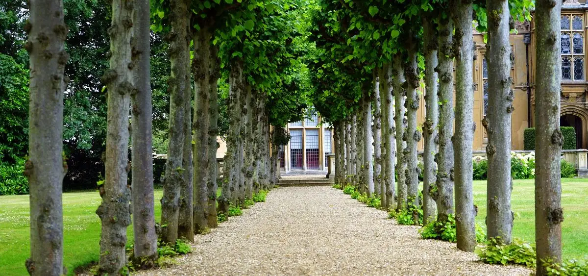 Showing the image of What to do in Garden in June