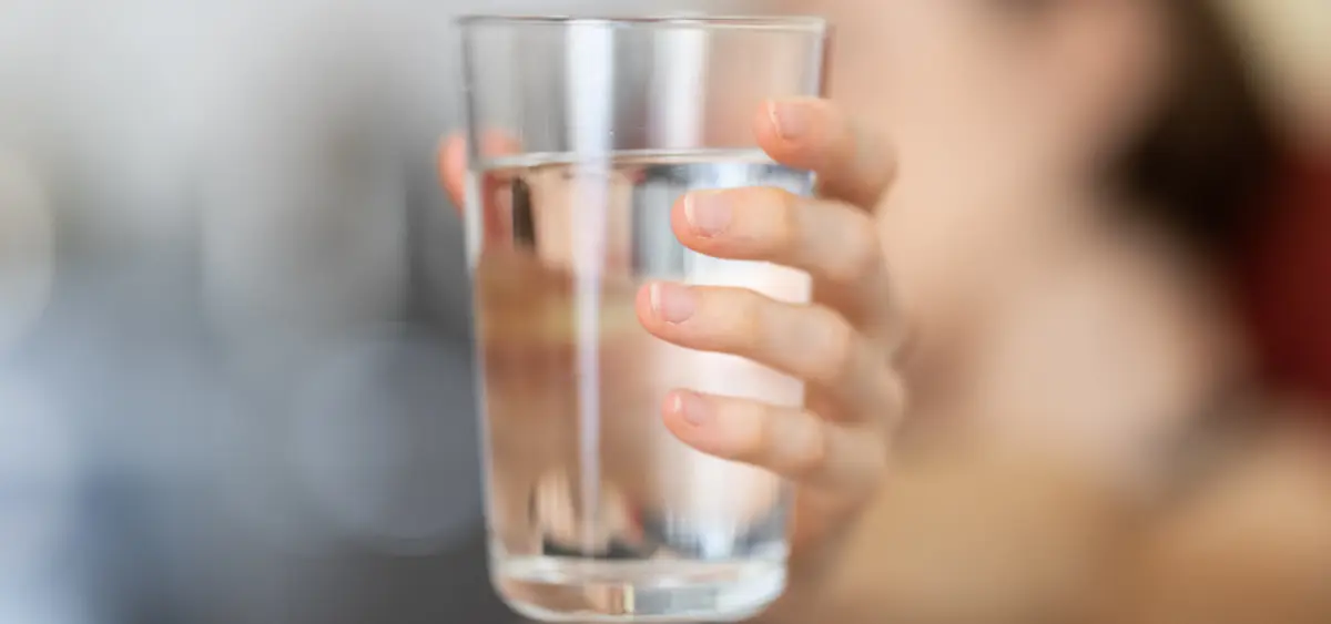 Showing the image of How to Filter Water