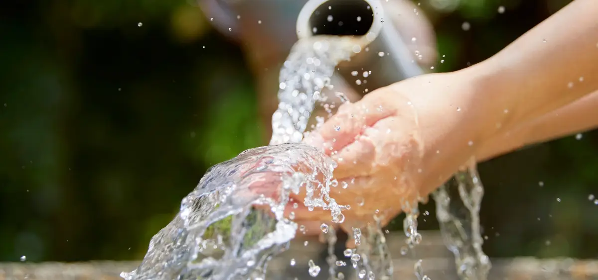 Showing the image of How to Filter Water