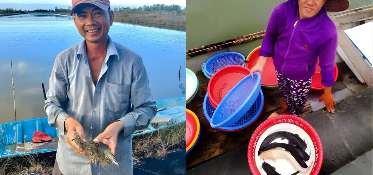 Showing the image of Shrimp and Rice