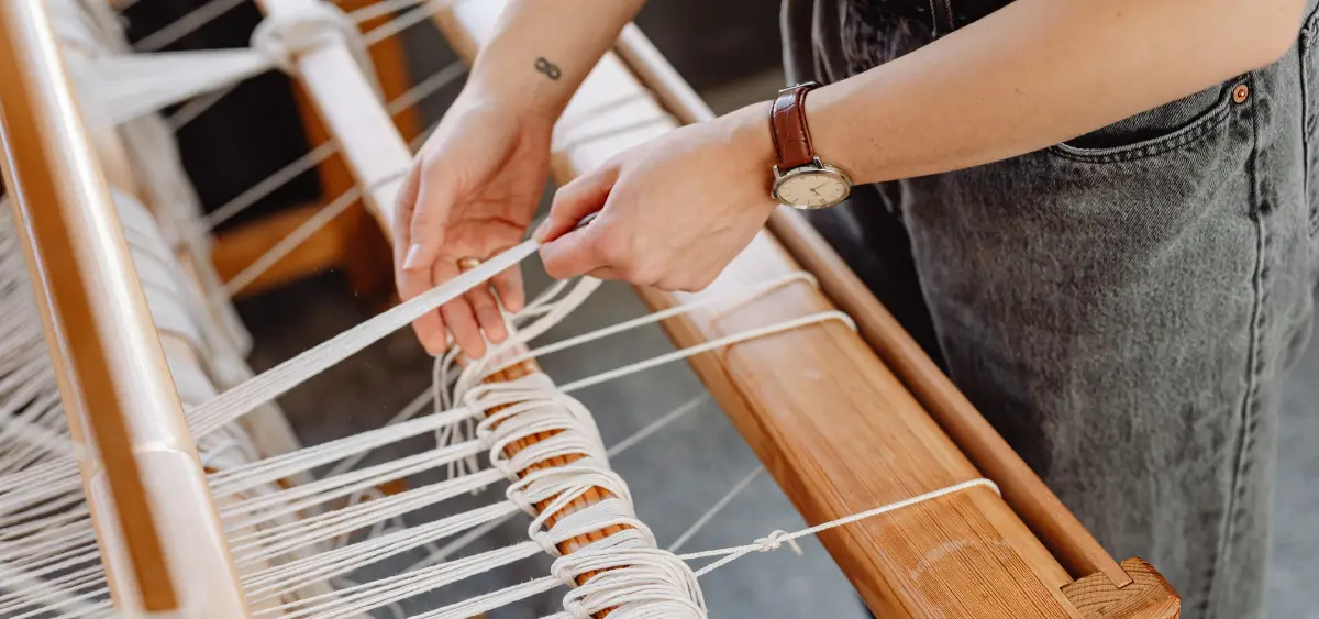 Showing the image of What is Wool