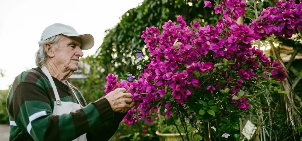 Showing the image of What to plant month wise plan