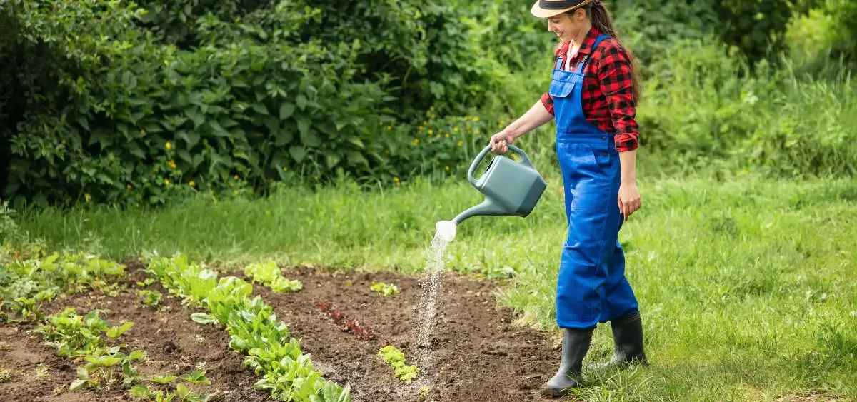 Showing the image of What to plant in November
