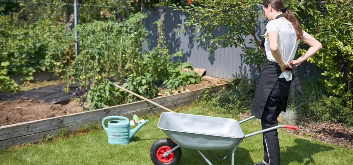 Showing the image of What to Plant in October