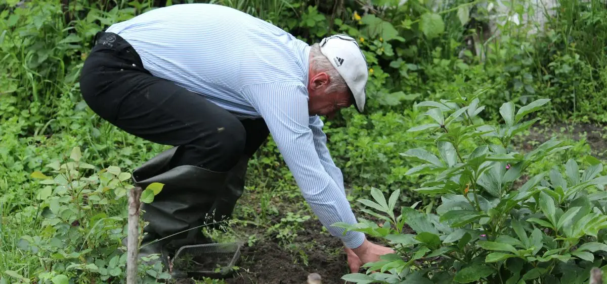 Showing the image of What to Plant in October