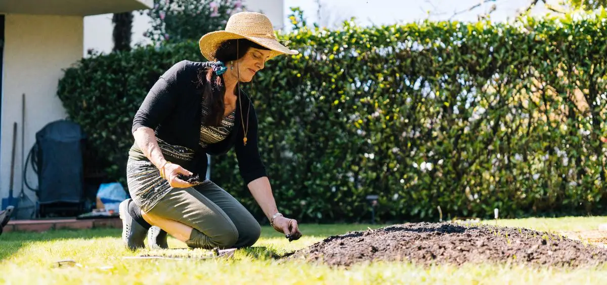 Showing the image of What to Plant in October