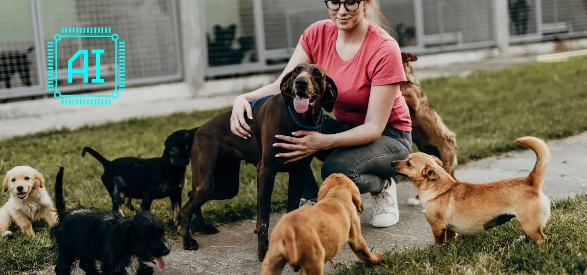 Showing the image of AI in wildlife conservation