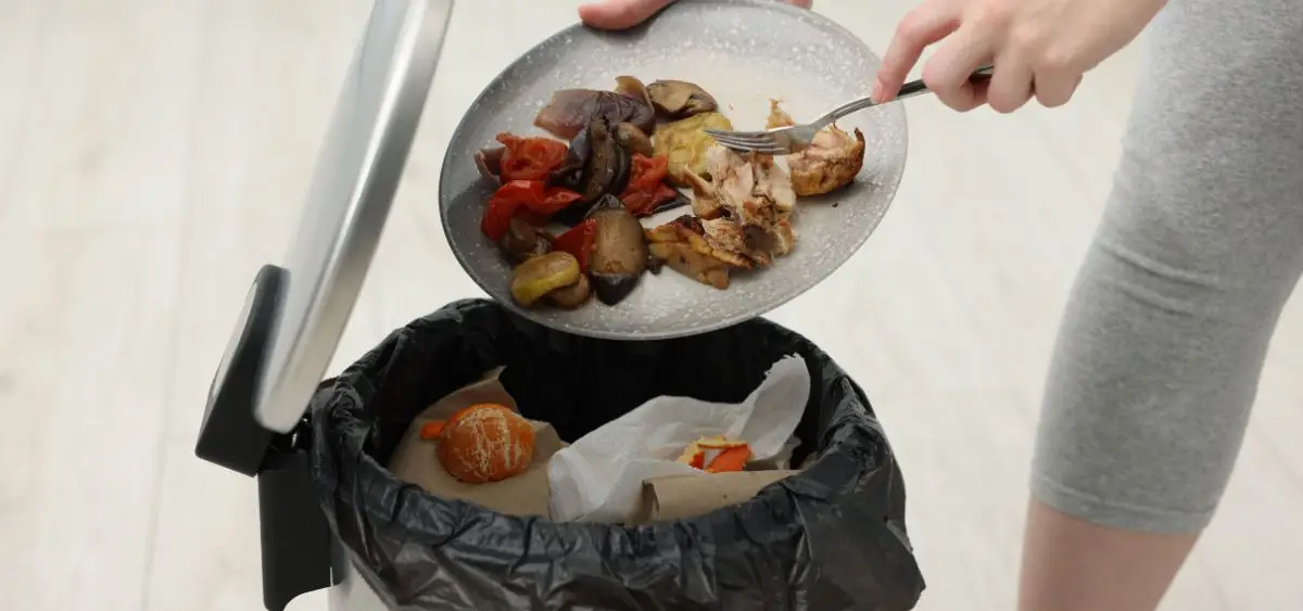 Food Waste Management: Are You Wasting More Than You Think?