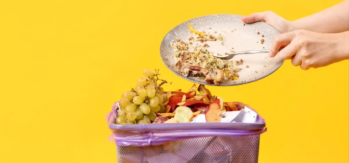 Showing the image of Sustainable Cities