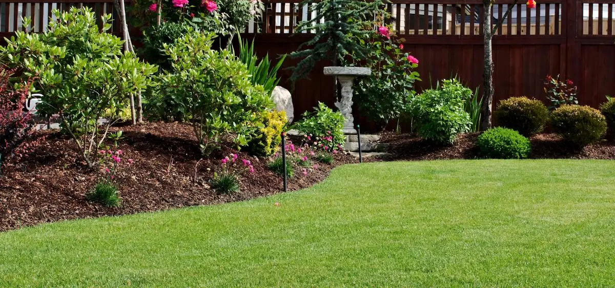 Learn how to build a Sponge Garden to fight drought, save rainwater, and keep your garden green. Discover simple, eco-friendly ideas to start today.