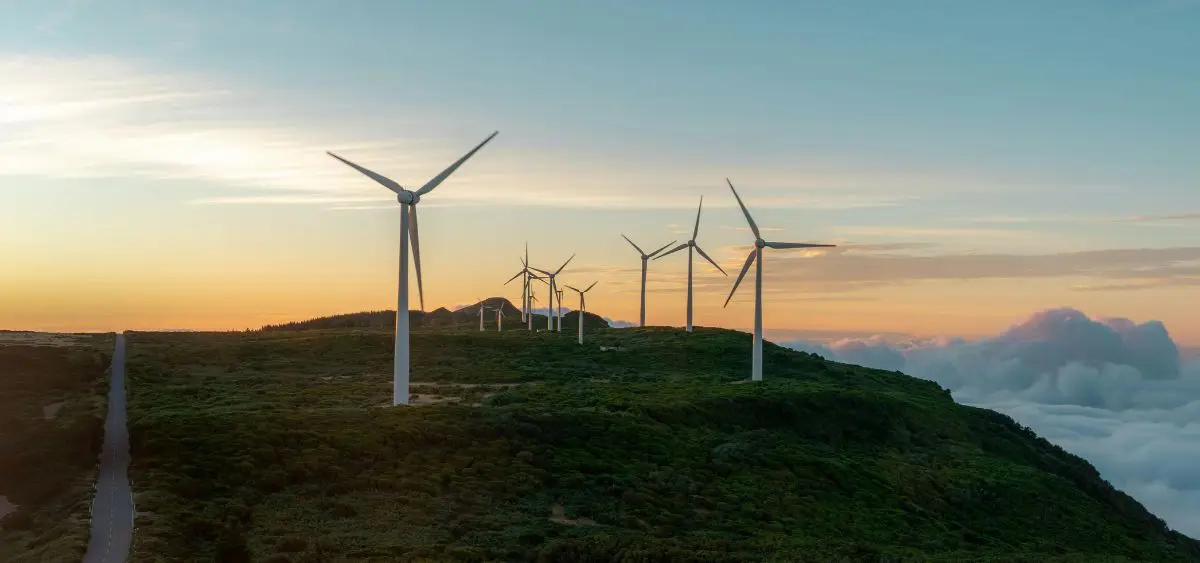 Showing the image of How Wind Turbines Make Electricity