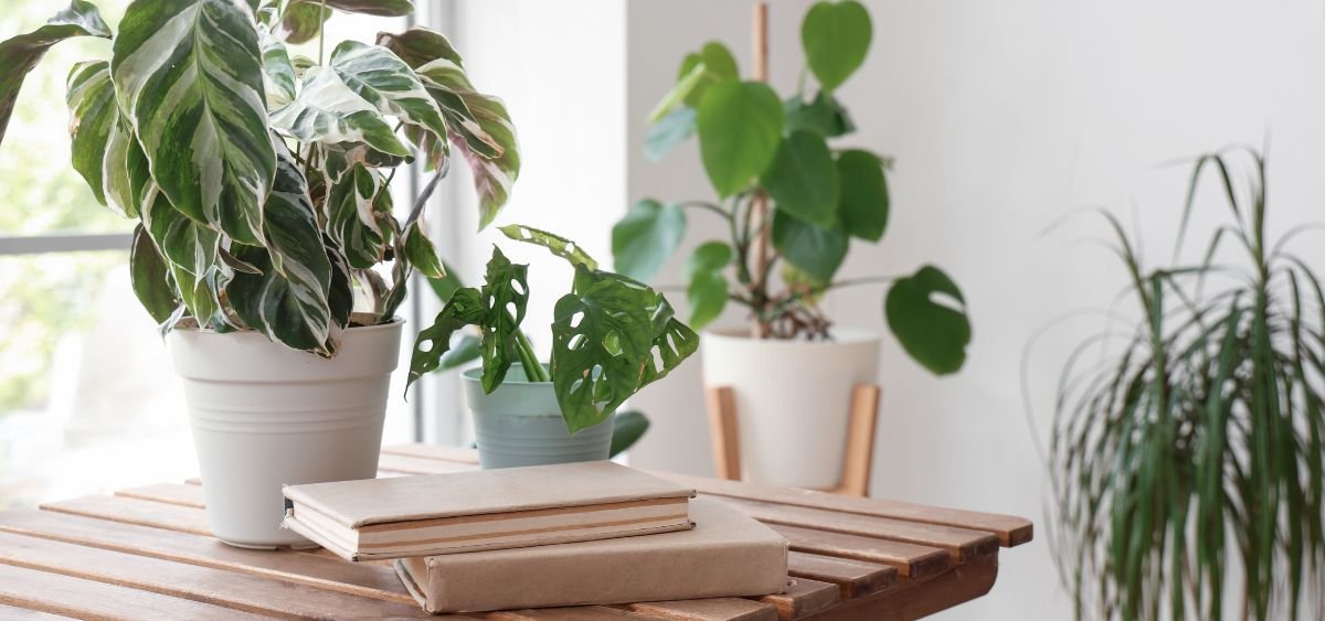 Showing the image of Sustainability Books