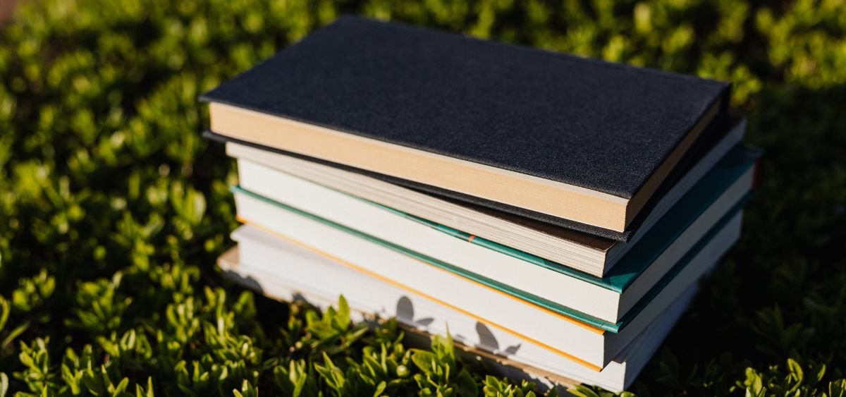 Showing the image of Sustainability Books