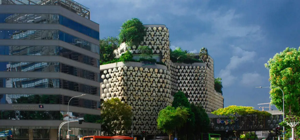 Showing the image of Sustainable Cities