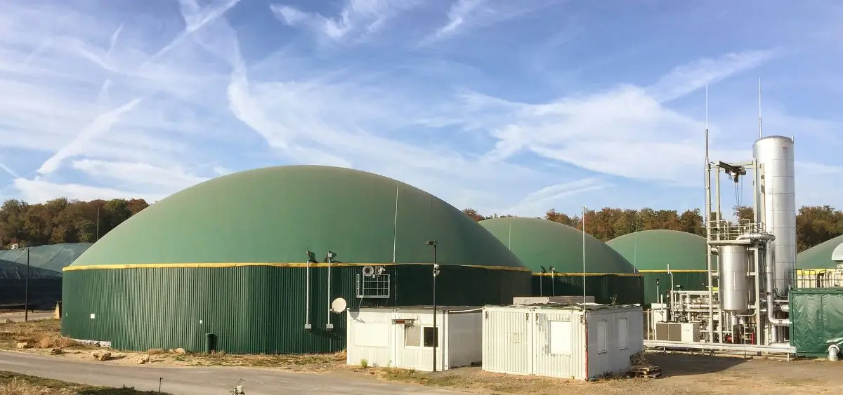 Showing the image of Types of Biomass