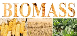 Showing the image of Types of Biomass