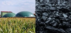 Showing the image of Difference Between Biomass and Fossil Fuels