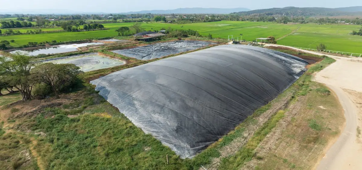 क्या बायोमास टिकाऊ है की छवि दिखा रहा है