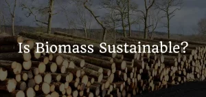 Showing the image of Is Biomass Sustainable